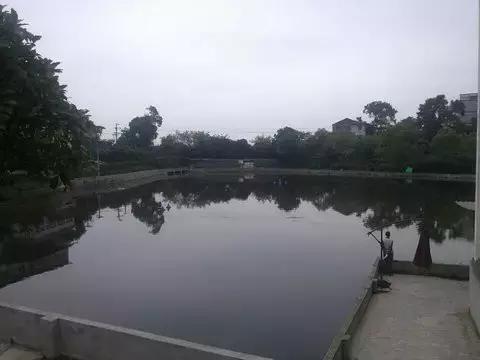 南岸区合适游玩的乡村,南岸乡村旅游