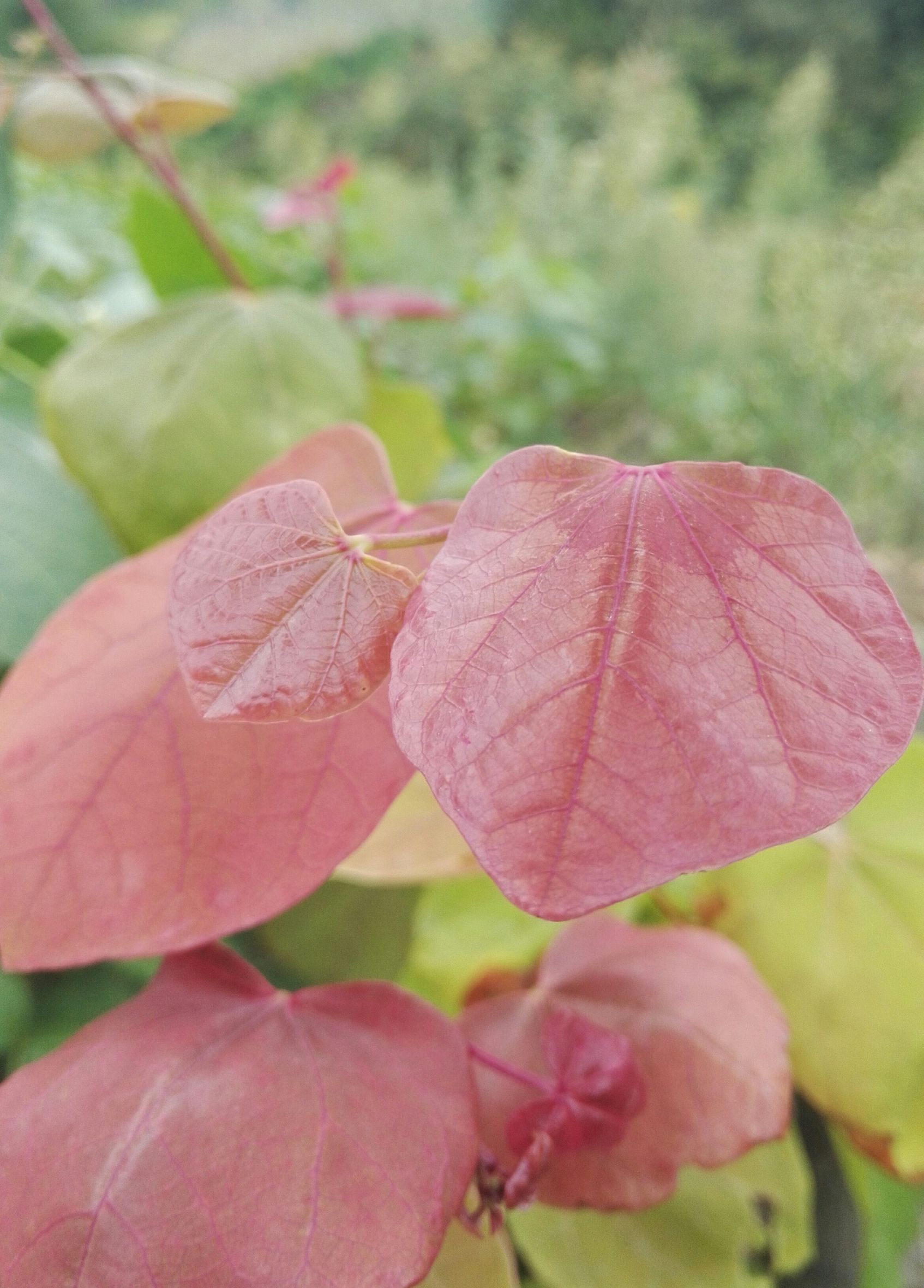 出门打工要懂得人情世故,在外地工作要不要学会当地的方言