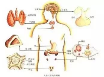 从日常生活如何改善脱发,脱发稀疏中医调理告捷案例