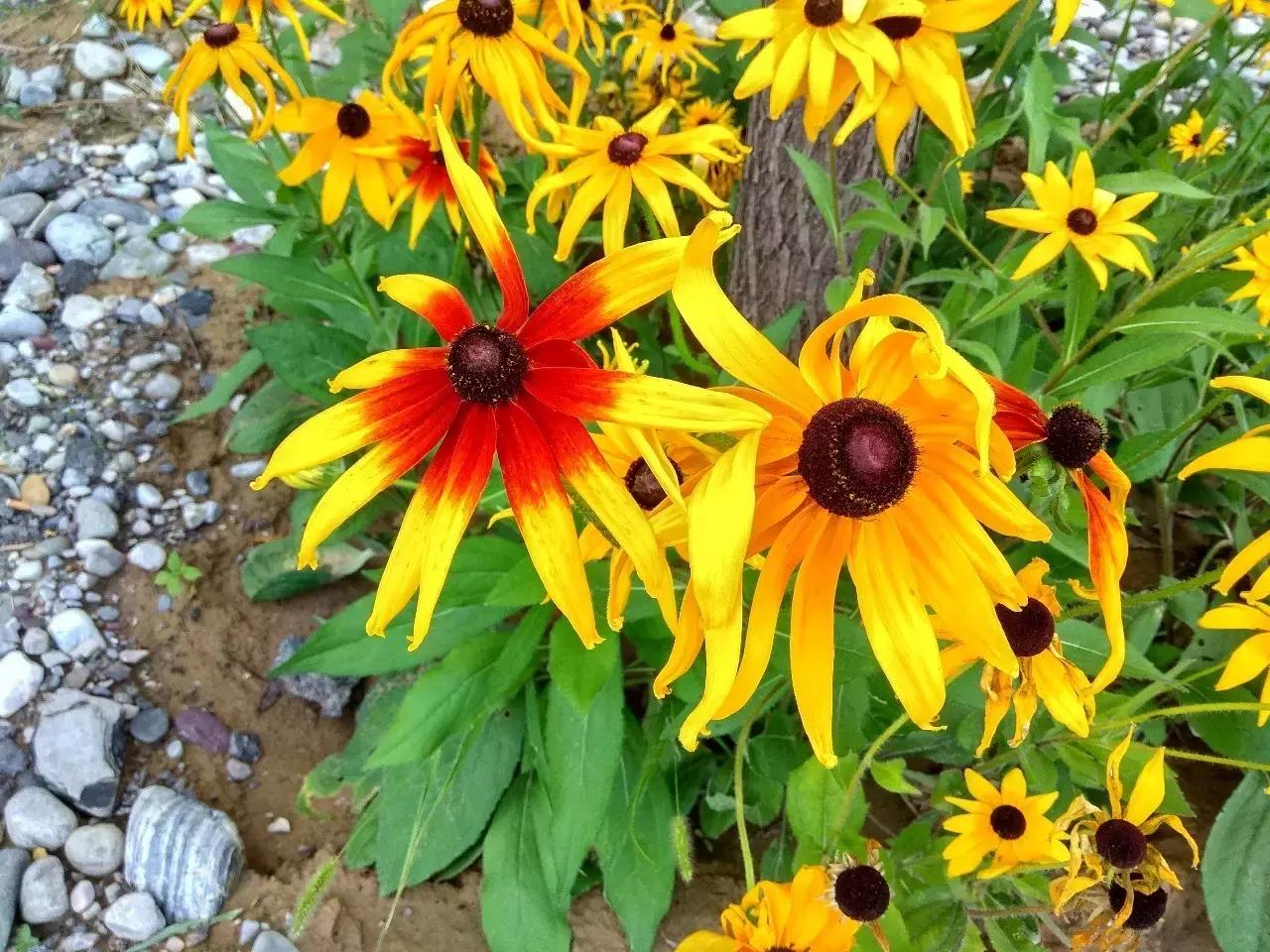 门头沟最合适的自驾游,门头沟一日游自驾游最佳景点