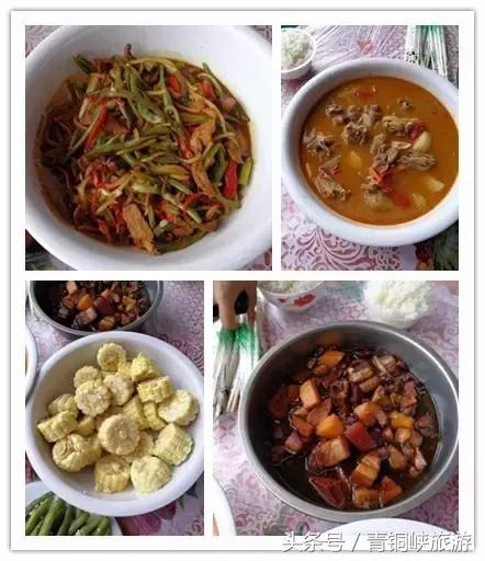 青铜峡大青葡萄采摘节,青铜峡大青葡萄