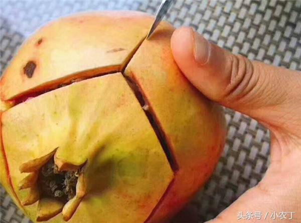 正宗突尼斯软籽石榴10斤新鲜当季,送礼必备佳品突尼斯软籽石榴