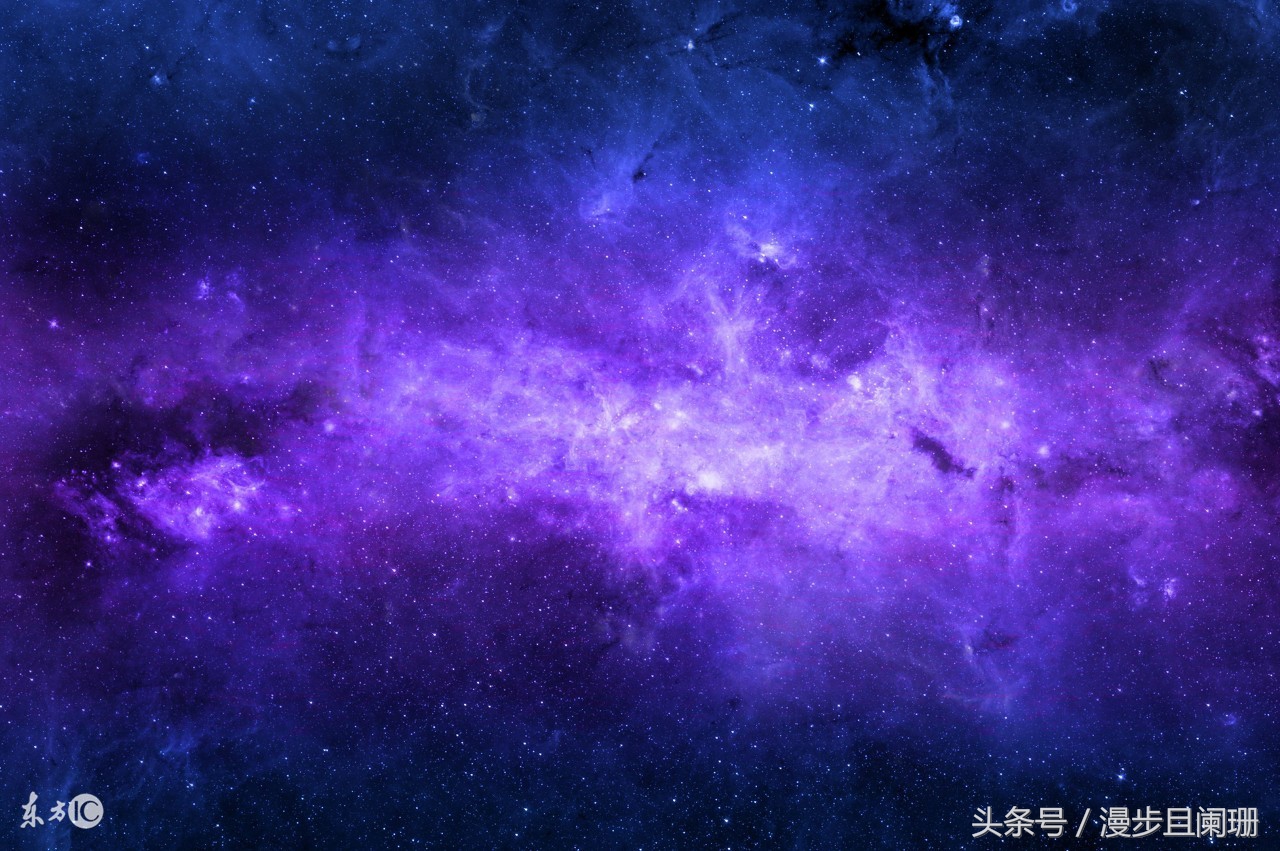 十二星座害怕什么,十二星座害怕什么动物