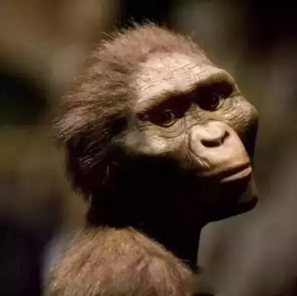 在宇宙的年历中，我们的存在连半秒钟都不到！