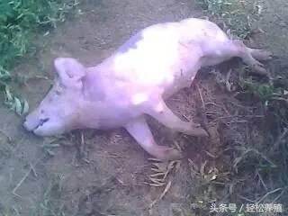 每种细菌性疾病都有一款特效药专克它，这篇文章讲全了