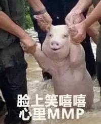 代驾仙人跳撞车,代驾仙人跳酒驾