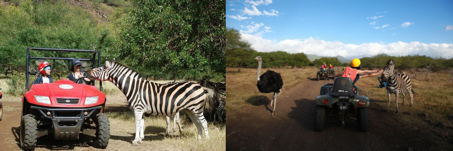 毛里求斯攻略最新,毛里求斯十大旅游攻略