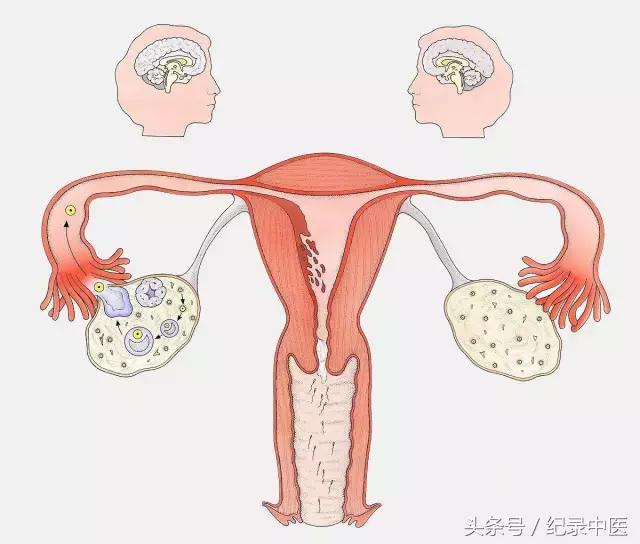 中医在国外开店,美国中医金鸣
