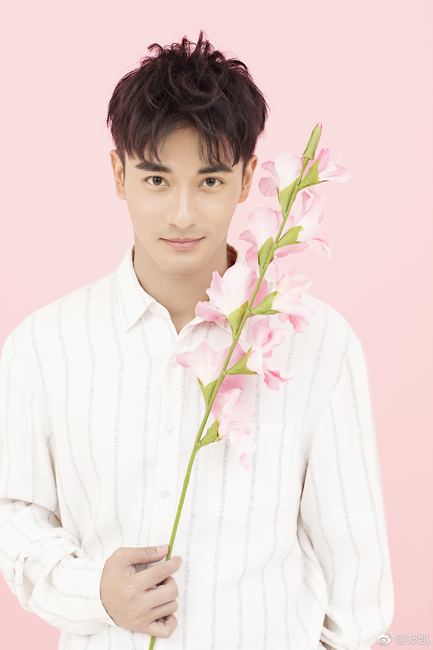 吴昕足球节目,遇见足球城免费完全版