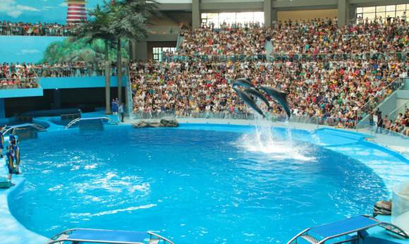 目前国内最好的海洋馆排名,全国排名前十的海洋馆