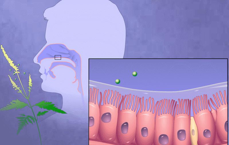 治常年过敏性鼻炎国内前十名医院,北京治疗过敏性鼻炎哪家医院好