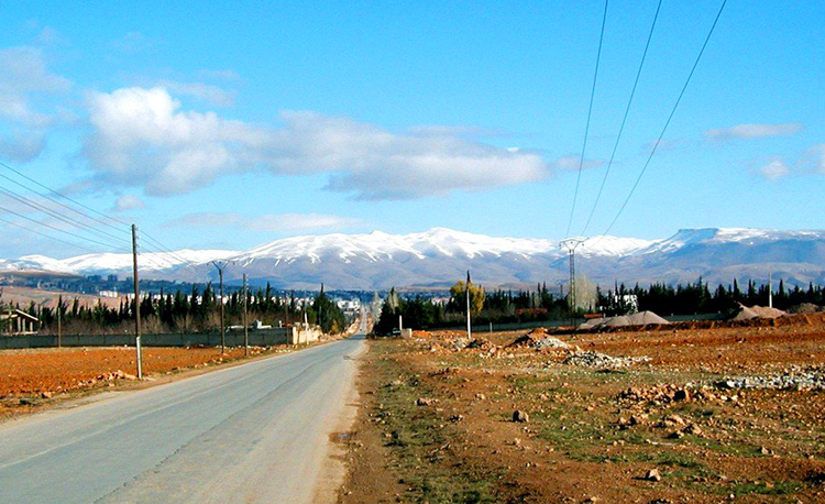 战火中的叙利亚,叙利亚八年古皂