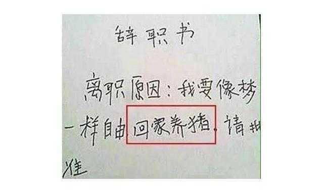 自己主动辞职怎么写辞职信,辞职应该怎么写辞职信