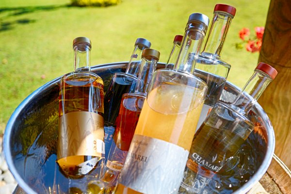 毛里求斯攻略最新,毛里求斯十大旅游攻略