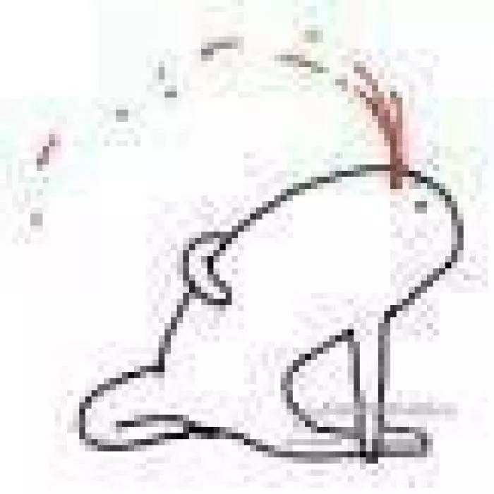 骑士绿军最新交易消息,骑士和绿军交易