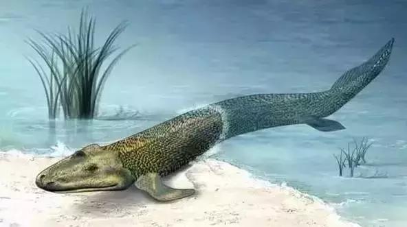 在宇宙的年历中，我们的存在连半秒钟都不到！