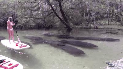 搞笑错字大全爆笑,打字牌搞笑幽默句子