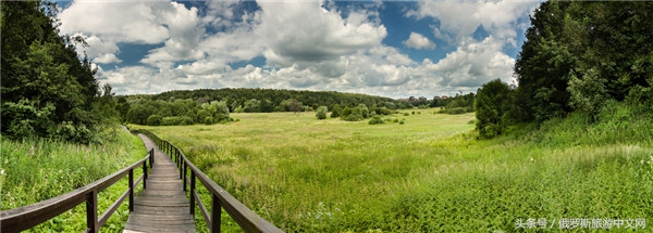 俄罗斯烤肉和牛排哪个好吃,俄罗斯烤肉种类
