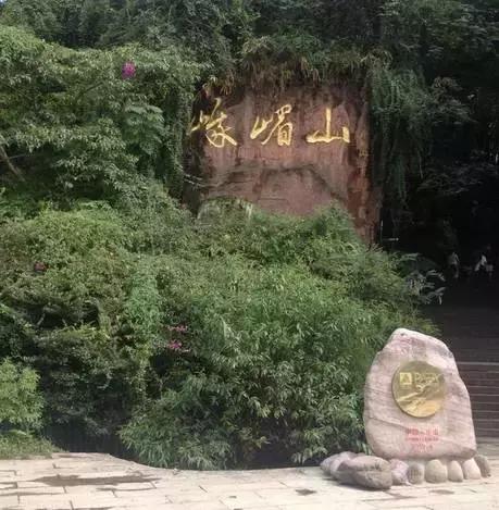 四大佛教名山象征着什么,四大佛教名山哪个面积大