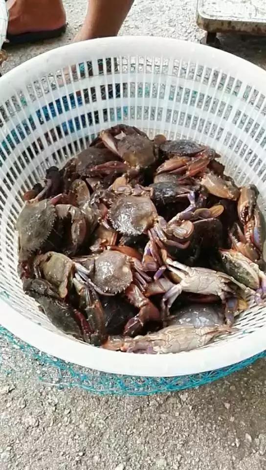 有一种炫富叫开海了,天津炫富视频