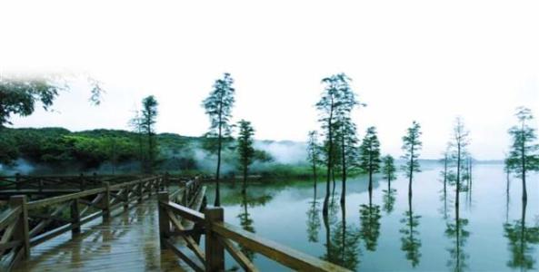 东莞情侣打卡约会最佳地点,东莞合适情侣去的地方