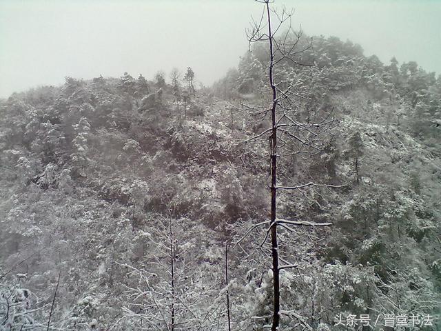 精研《书谱》称妙手，唯痴翰墨写春秋——文安发学书之路简述