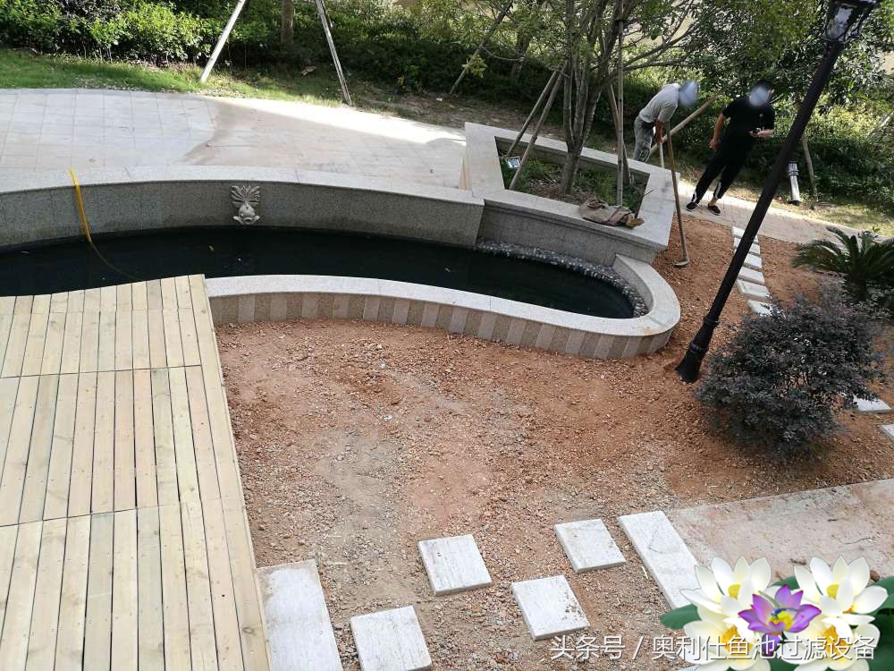 10吨小鱼池的完美养成记