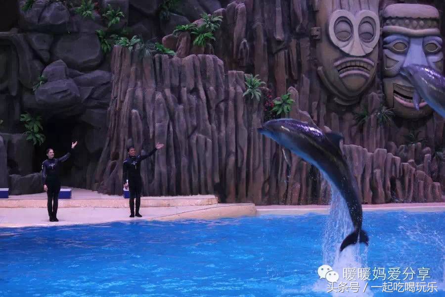 珠海长隆企鹅酒店攻略亲子游,长隆攻略亲子游三天住什么酒店