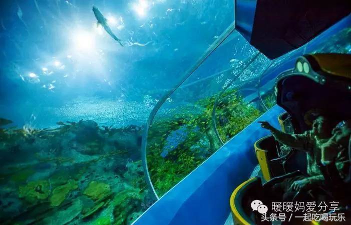 珠海长隆企鹅酒店攻略亲子游,长隆攻略亲子游三天住什么酒店