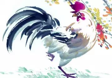 恩师真传的十二生肖婚配之忌,最佳的配偶十二生肖