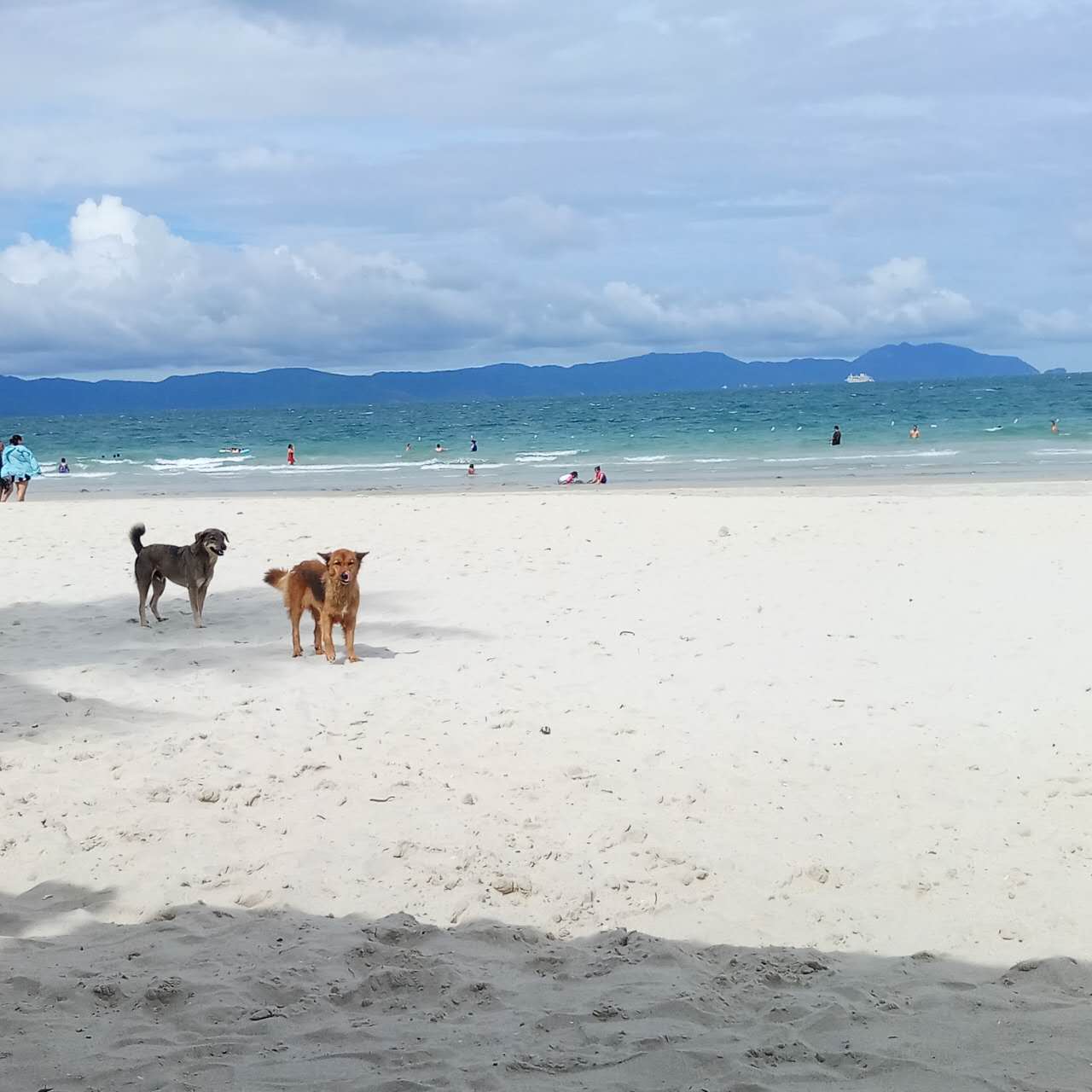 第二次来到越南芽庄,第一次出国越南感受