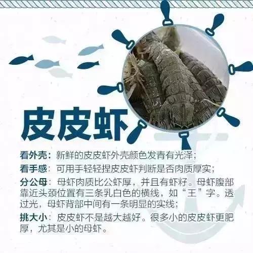 有一种炫富叫开海了,天津炫富视频