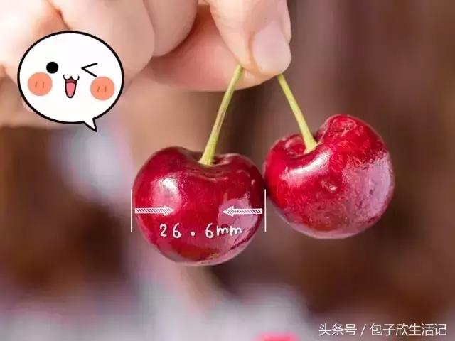 如果你喜欢喝这杯茶，也许我能够请你｜奈雪