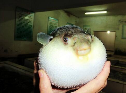 这些误导我们已久的冷门知识,最新冷门的知识