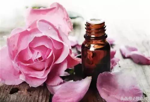 沙漠种植的玫瑰花,种花但不摘花