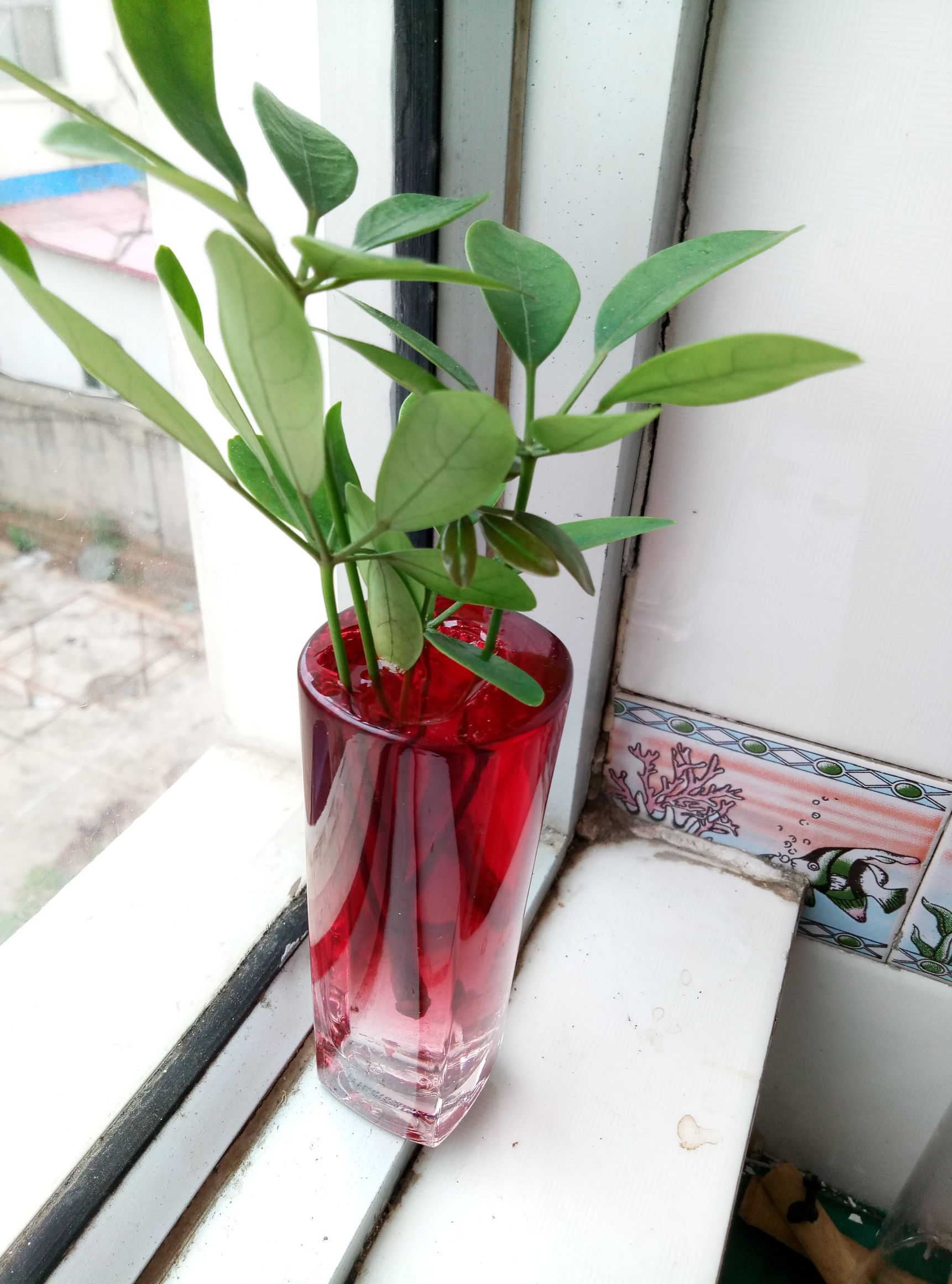 花器制作篇,用什么来制作花器