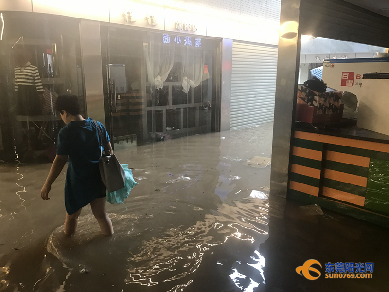 东莞海滩必备泳衣,东莞海边最新消息