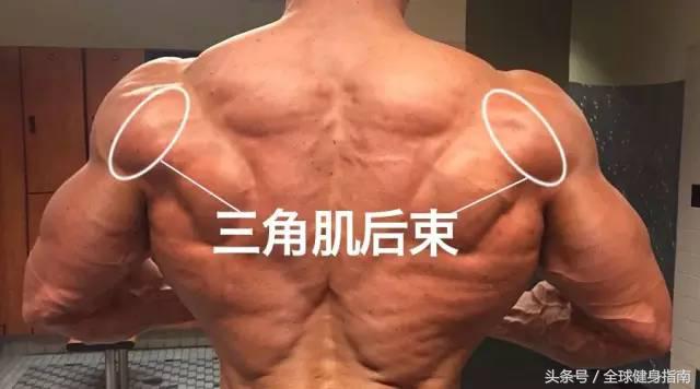 练宽肩最有效的动作,能够把肩练宽的动作