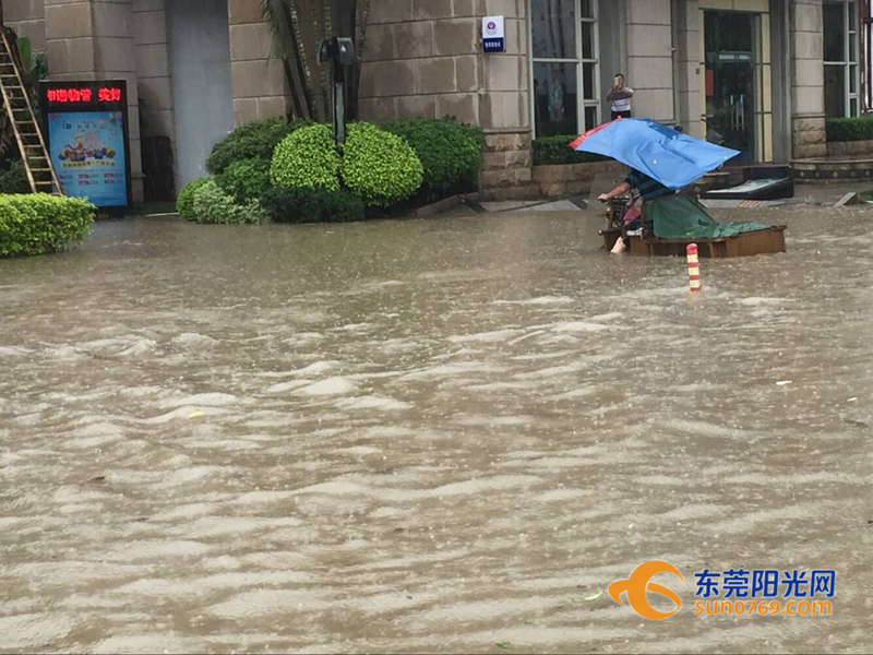 东莞海滩必备泳衣,东莞海边最新消息