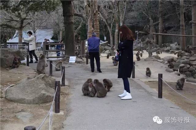 日本旅行穿搭高级感,日本旅行夏日穿搭