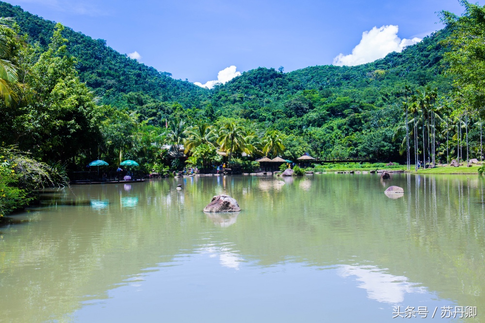 亚马逊热带雨林真实食人花,亚马逊雨林食人花