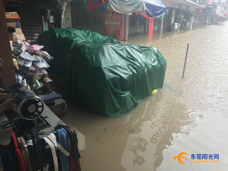 东莞海滩必备泳衣,东莞海边最新消息