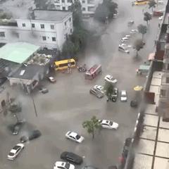 东莞海滩必备泳衣,东莞海边最新消息