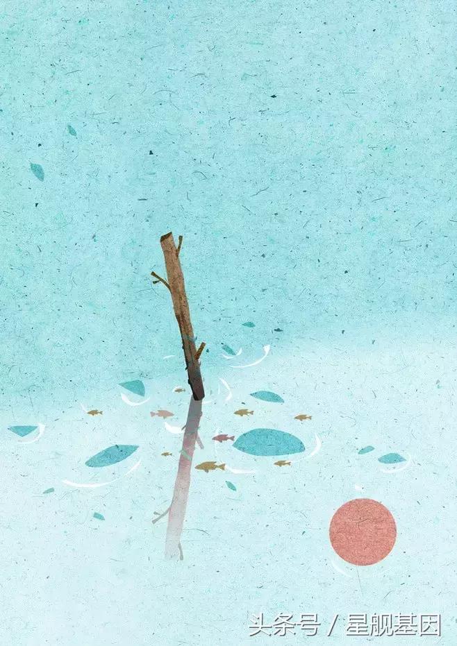 提防乳腺癌的办法,预防乳腺癌的有效方法是什么