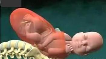 婴儿自然顺产过程,孩子顺产过程是怎样的