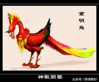 古代神兽大全排名,古代神兽大全镇宅