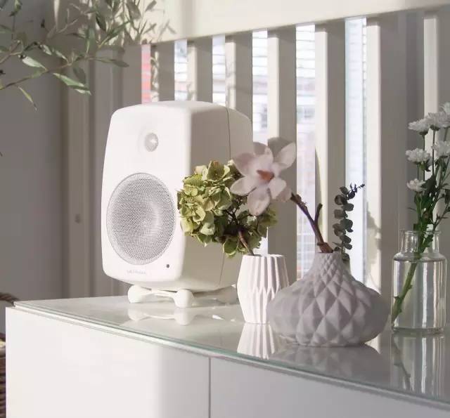 芬兰真力音箱,真力音箱型号经典