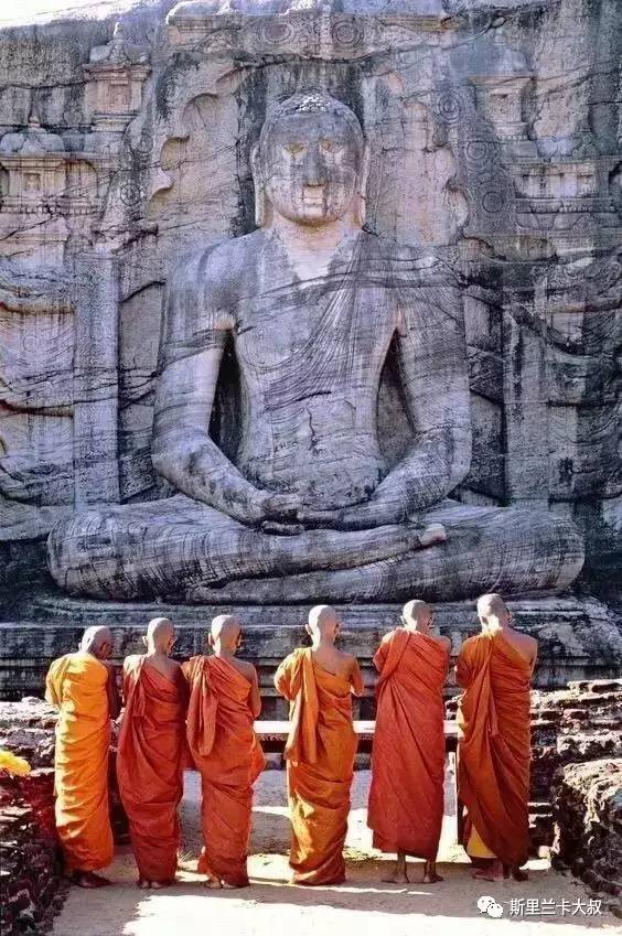 一路向锡｜走进斯里兰卡：了解斯里兰卡（下）