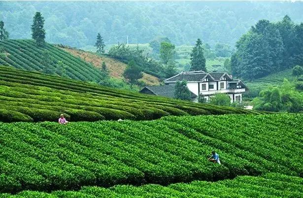 太精辟！一句话形容贵州88区县，看到自己的家乡笑死了！哈哈哈