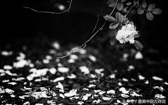 唐伯虎书法长卷落花诗册完全,唐伯虎的落花诗册有多少个字